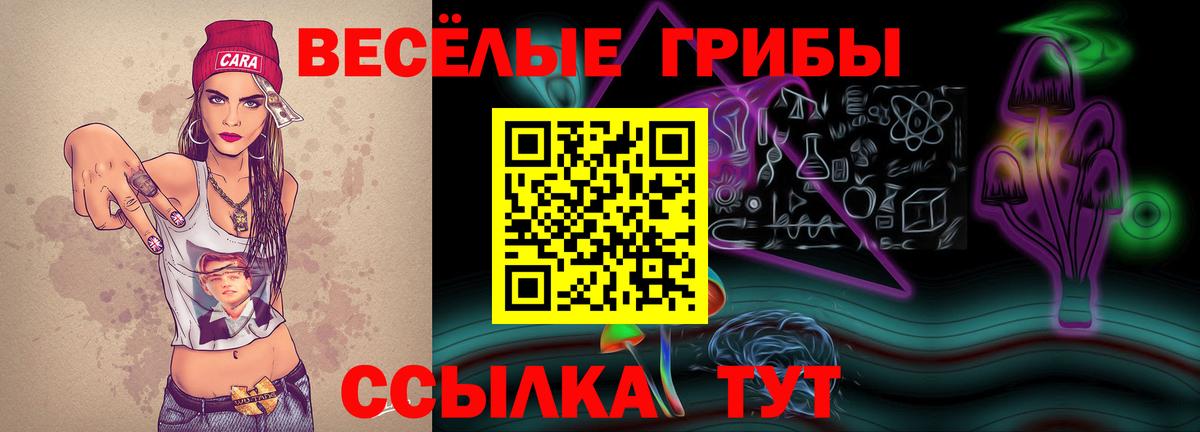 Надым  Галлюциногенные грибы прущие грибы  Вход с VPN 